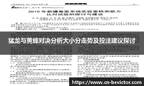 猛龙与黄蜂对决分析大小分走势及投注建议探讨